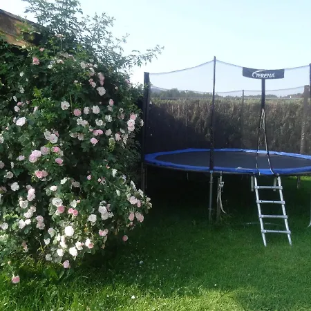 Bachtelhuber-hof Farm stay Teisendorf